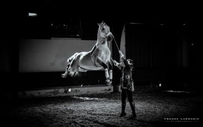 Thillombois – Spectacle Le cheval, roi du château Les 22, 23 et 24 septembre 2017.
