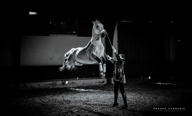 Thillombois – Spectacle Le cheval, roi du château Les 22, 23 et 24 septembre 2017.