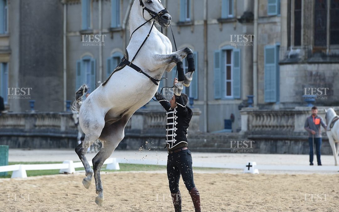 Temps fort : La Grandeur des Arts Equestres Est Républicain du 23 septembre 2017