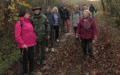 Marche de Thillombois à Benoîte-Vaux 55260 Thillombois (Meuse) le 5 novembre 2017