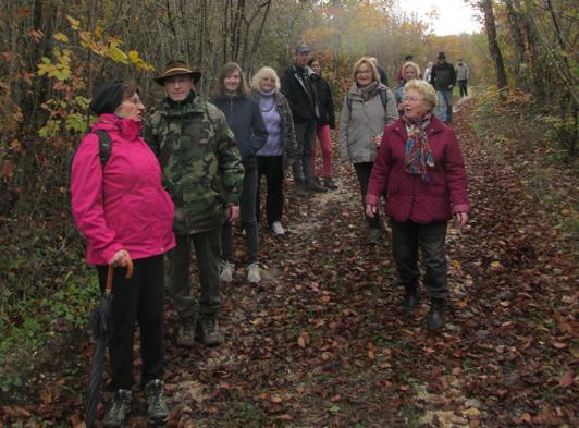 Marche de Thillombois à Benoîte-Vaux 55260 Thillombois (Meuse) le 5 novembre 2017