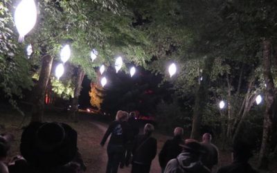 Balade au pays du rêve
