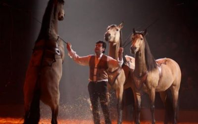 les 20, 21 et 22 septembre 2019 Christophe Hasta Luego et Cie ainsi que Lorenzo associeront leurs arts équestres