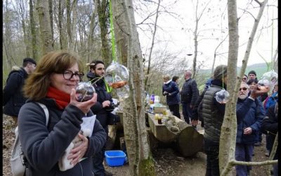 Les balades découvertes rassemblent 200 marcheurs
