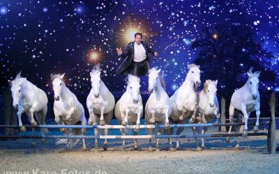 Vidéo  de Lorenzo debout sur ses chevaux lancés au galop..  Spectacle à couper le souffle !