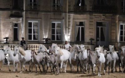 Meuse : la première soirée du spectacle de la 4e biennale équestre de Thillombois