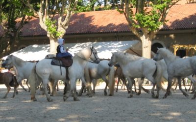 Anaïs et ses poulains de la troupe VINUESA