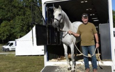 Les chevaux de Christophe Hasta Luego et de Lorenzo ont voyagé tout ce mercredi du sud de la France vers le château de Thillombois (Meuse) en vue de la Biennale équestre des 20, 21 et 22 septembre. Christophe Hasta Luego raconte le voyage. (vidéo Dailymotion)