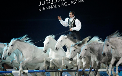 PROFITEZ DE LA VENTE FLASH SPECTACLE EQUESTRE AU CHATEAU DE THILLOMBOIS (55)