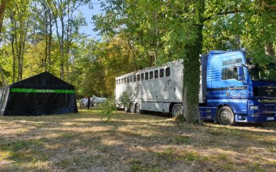 Pour la 4e édition de sa Biennale équestre, l’association Connaissance de la Meuse a invité deux formations de renom : Christophe Hasta Luego et Compagnie et Lorenzo, un cavalier et artiste mondialement connu pour ses prouesses avec ses chevaux.