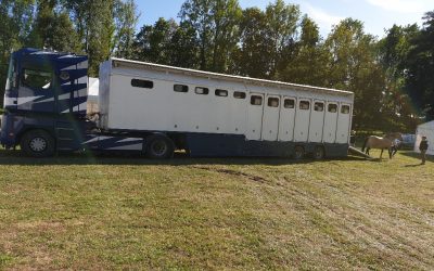 Les chevaux sont arrivés ce mercredi après-midi au château de Thilllombois. Il leur faudra environ vingt-quatre heures d’acclimatation pour être au mieux de leur forme pour les spectacles de cette fin de semaine.