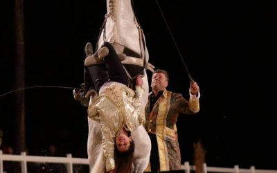 Livre d’or Biennale Equestre sept. 2019 (extraits)