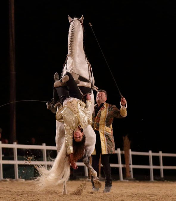 Livre d’or Biennale Equestre sept. 2019 (extraits)