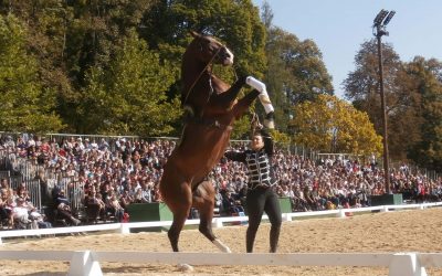 Biennale équestre : du grand art au château de Thillombois