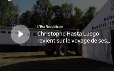 Christophe Hasta Luego revient sur le voyage de ses chevaux avant la Biennale équestre de Thillombois