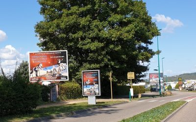 vu sur l’avenue de Metz à Verdun (55)