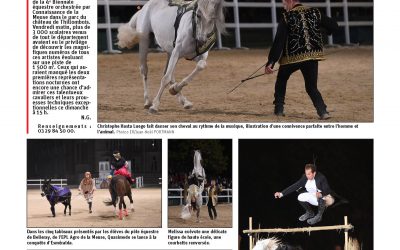 Hasta Luego et Lorenzo font danser les chevaux