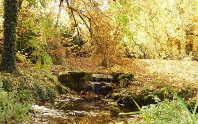 Le ruisseau de Thillombois