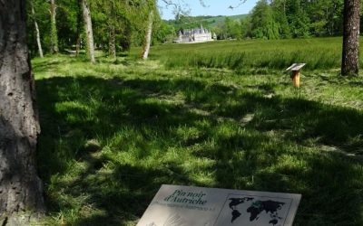 Les Rendez-vous aux jardins 4, 5, 6 juin 2021