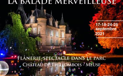 Le  parc du château de Thillombois sera exceptionnellement fermé à la visite jusqu’à la fin de l’année suite au montage des prochaines manifestations ; La Balade Merveilleuse et la Saint-Nicolas.