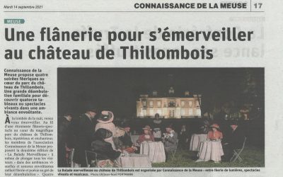 Une flânerie pour s’émerveiller au château de Thillombois