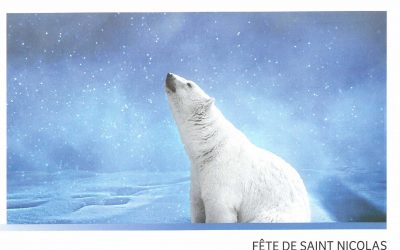 Place à l’émerveillement, que le spectacle commence !