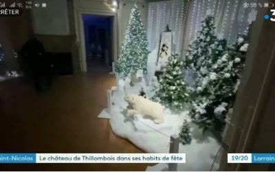 Reportage France 3 Grand Est JT 19/20