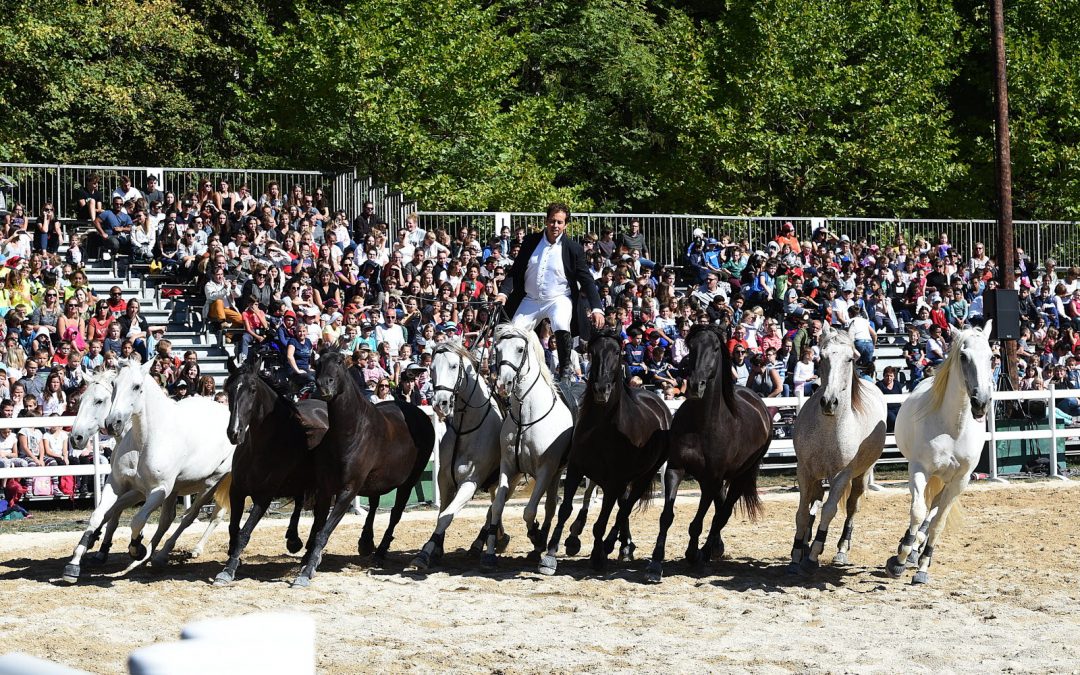 En 2022 Connaissance de la Meuse fête ses 40 ans d’existence Depuis le 22 janvier 1982, l’association Connaissance de la Meuse s’est imposée dans le paysage culturel du département.
