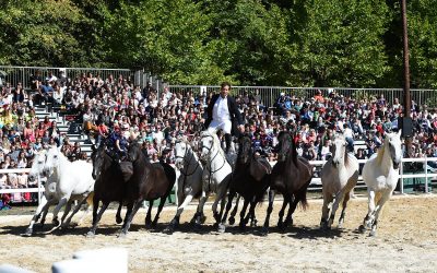 En 2022 Connaissance de la Meuse fête ses 40 ans d’existence Depuis le 22 janvier 1982, l’association Connaissance de la Meuse s’est imposée dans le paysage culturel du département.