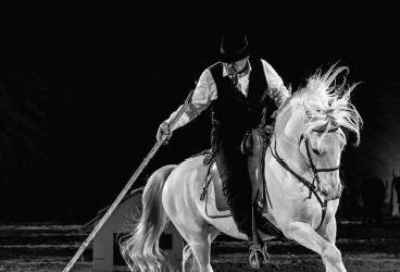 Le Château de Thillombois invite C. Hasta Luego – Lorenzo – R. Vinuesa – Spectacle Équestre
