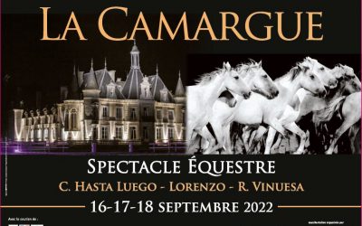Spectacle unique dans l’Est de la France, Spectacle Équestre au Château de Thillombois. Un spectacle inédit avec 3 troupes équestres de renom international : Christophe hasta luego, Lorenzo et R. Vinuesa. Ne manquez pas cet événement inédit !