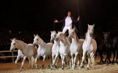 Offre Prévente – Spectacle équestre grandiose au château de Thillombois