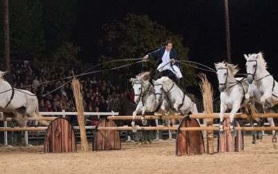 Lorenzo, l’enfant prodige de la Camargue.
