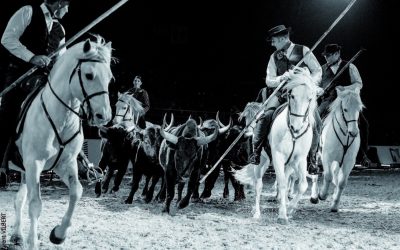 Renaud Vinuesa est l’ambassadeur de la Camargue dans toute l’Europe et ailleurs.
