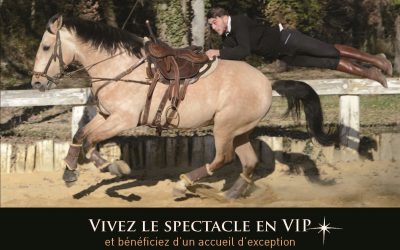 Vivez le spectacle en VIP et bénéficiez d’un accueil d’exception