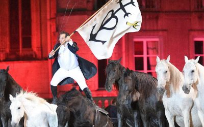 Show à Thillombois : que de chevaux au château !