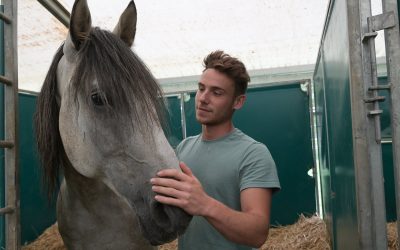 Biennale équestre de Thillombois : l’arrivée des chevaux au château
