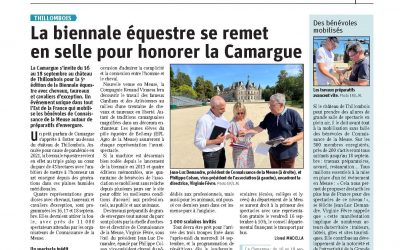 La biennale équestre se remet en selle pour honorer la Camargue