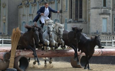 Thillombois : le spectacle équestre La Camargue présenté en avant-première aux écoliers et collégiens meusiens
