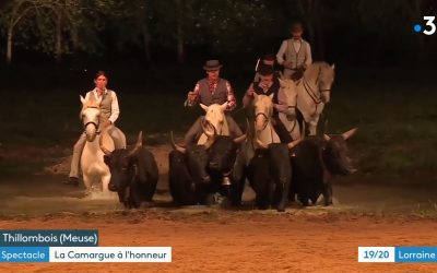 Reportage 2mn15 France 3 Grand Est 19/20 Lorraine « La Camargue à l’honneur au château de Thillombois »