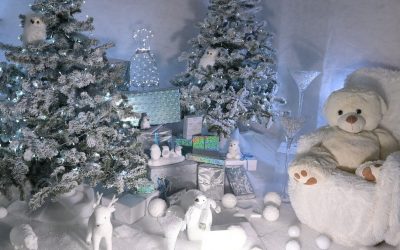 Saint-Nicolas au château : la féerie opère merveilleusement bien