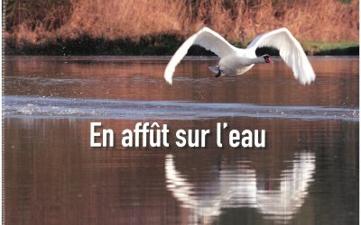 La Revue N° 147 de Connaissance de la Meuse est parue !