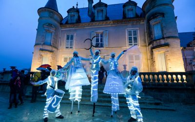 Les échassières ailées, artistes talentueux