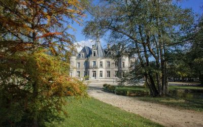 Dégâts dans le parc du château : un plan de reboisement envisagé