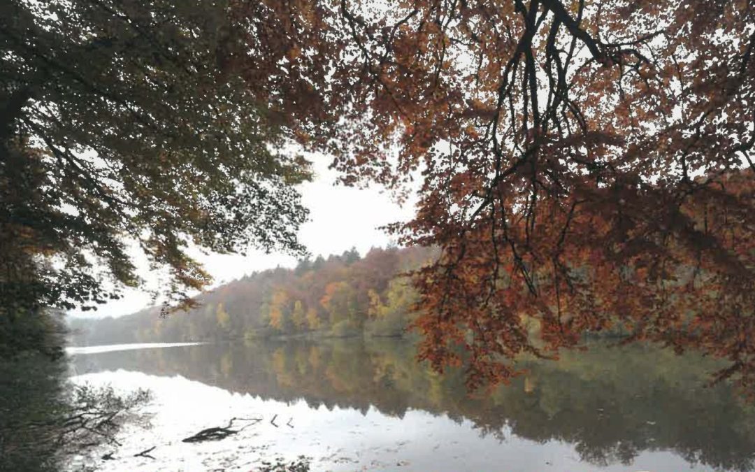 l&rsquo;Almanach perpétuel de la Meuse